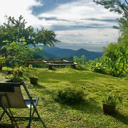 Hostal Vista Verde Minca Dış mekan fotoğraf