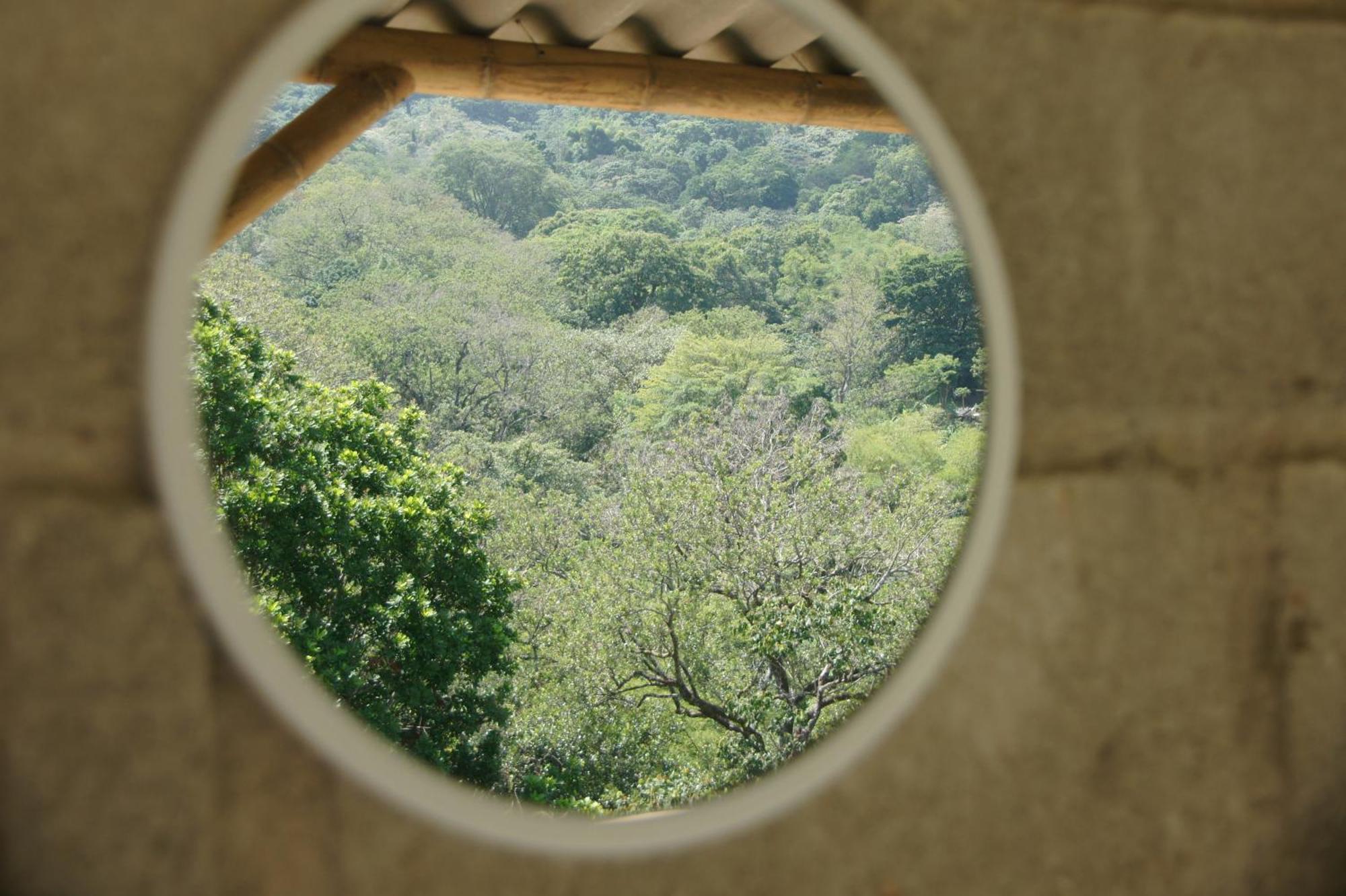 Hostal Vista Verde Minca Dış mekan fotoğraf