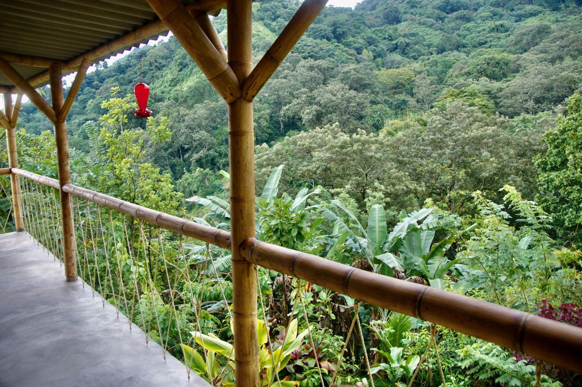 Hostal Vista Verde Minca Dış mekan fotoğraf