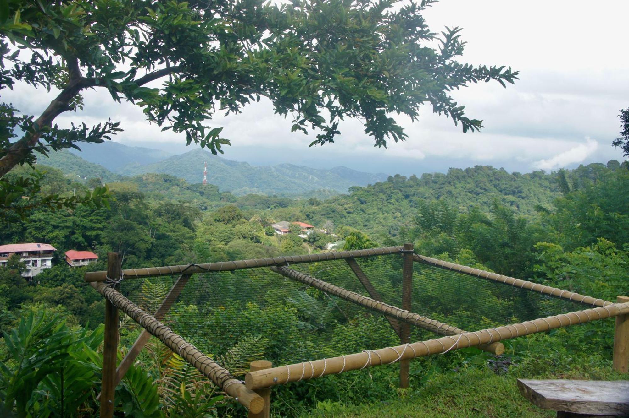Hostal Vista Verde Minca Dış mekan fotoğraf