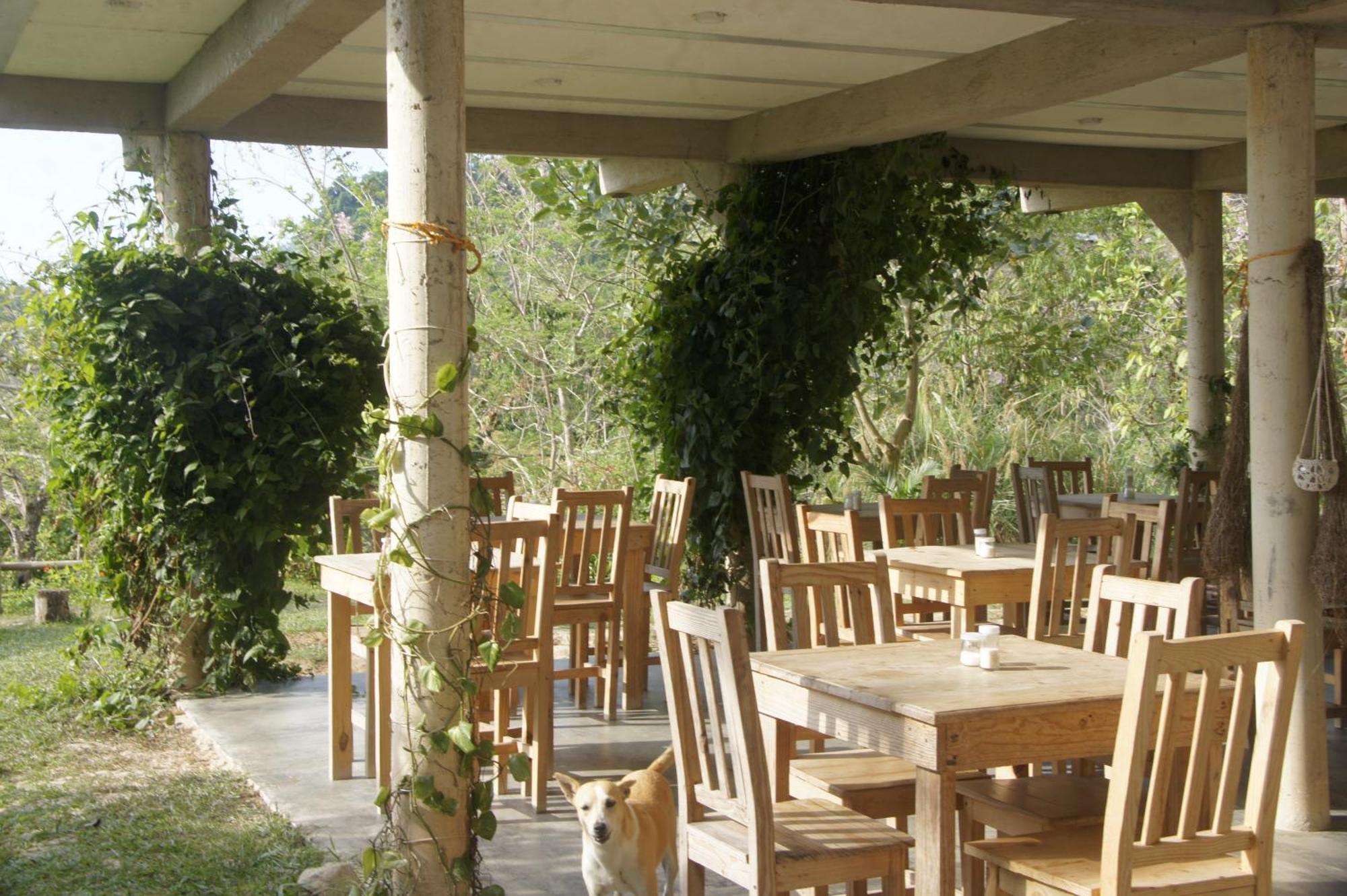 Hostal Vista Verde Minca Dış mekan fotoğraf